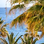 Banus - Banus Playa Rocio Beachside Complex Appartamento